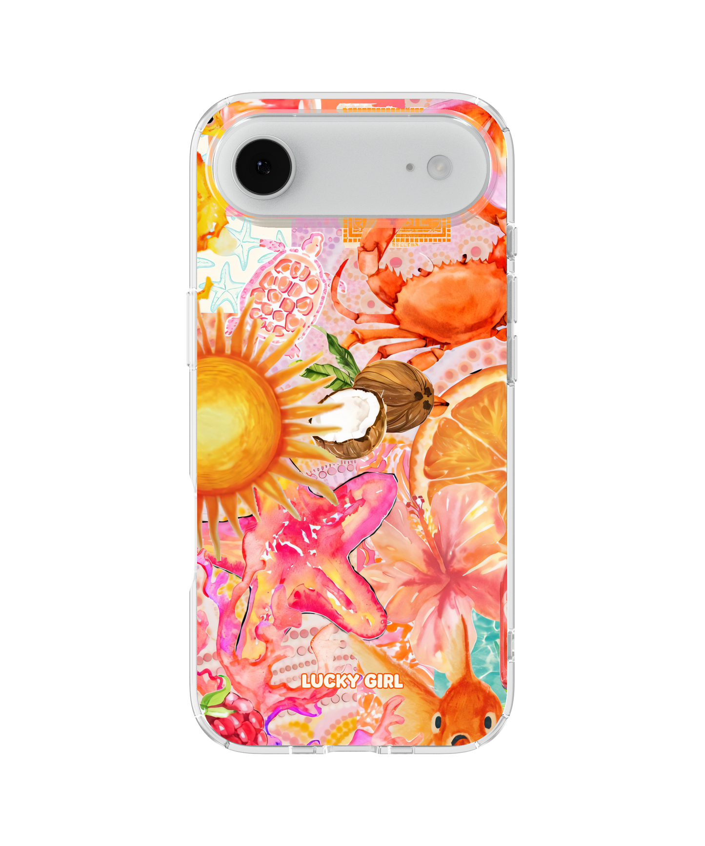 Sun-Drenched Clear Case Insert