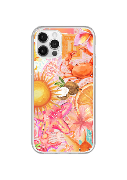 Sun-Drenched Clear Case Insert