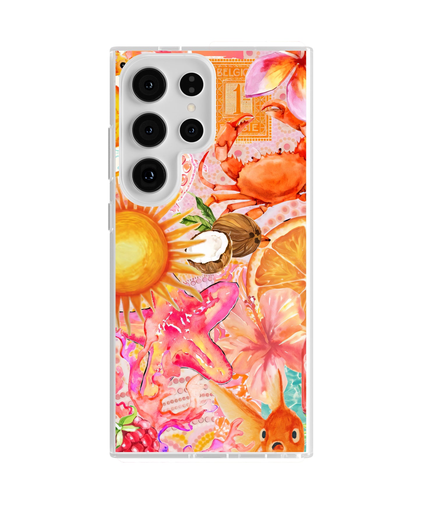 Sun-Drenched Clear Case Insert