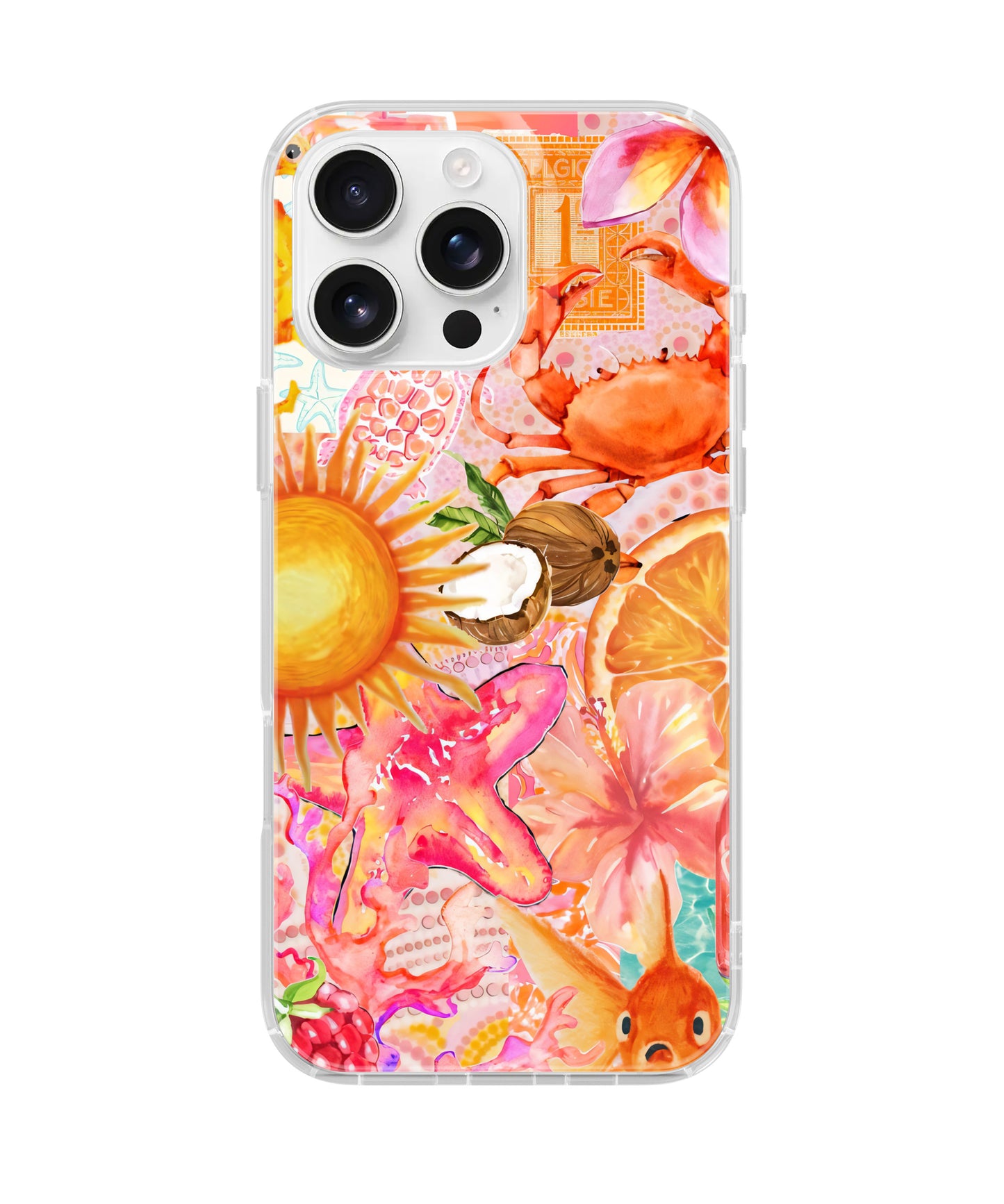 Sun-Drenched Clear Case Insert