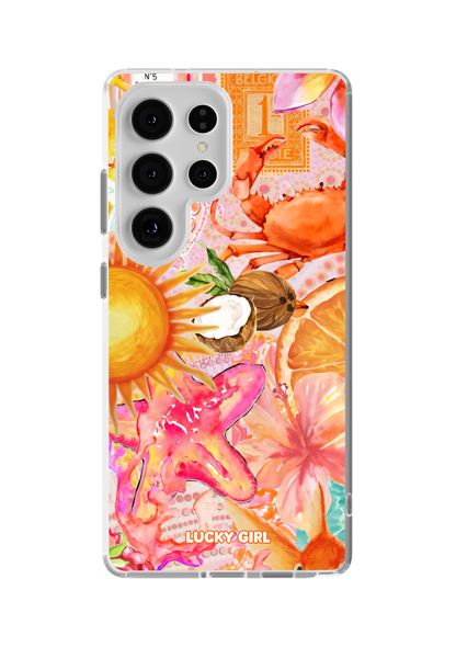 Sun-Drenched Clear Case Insert
